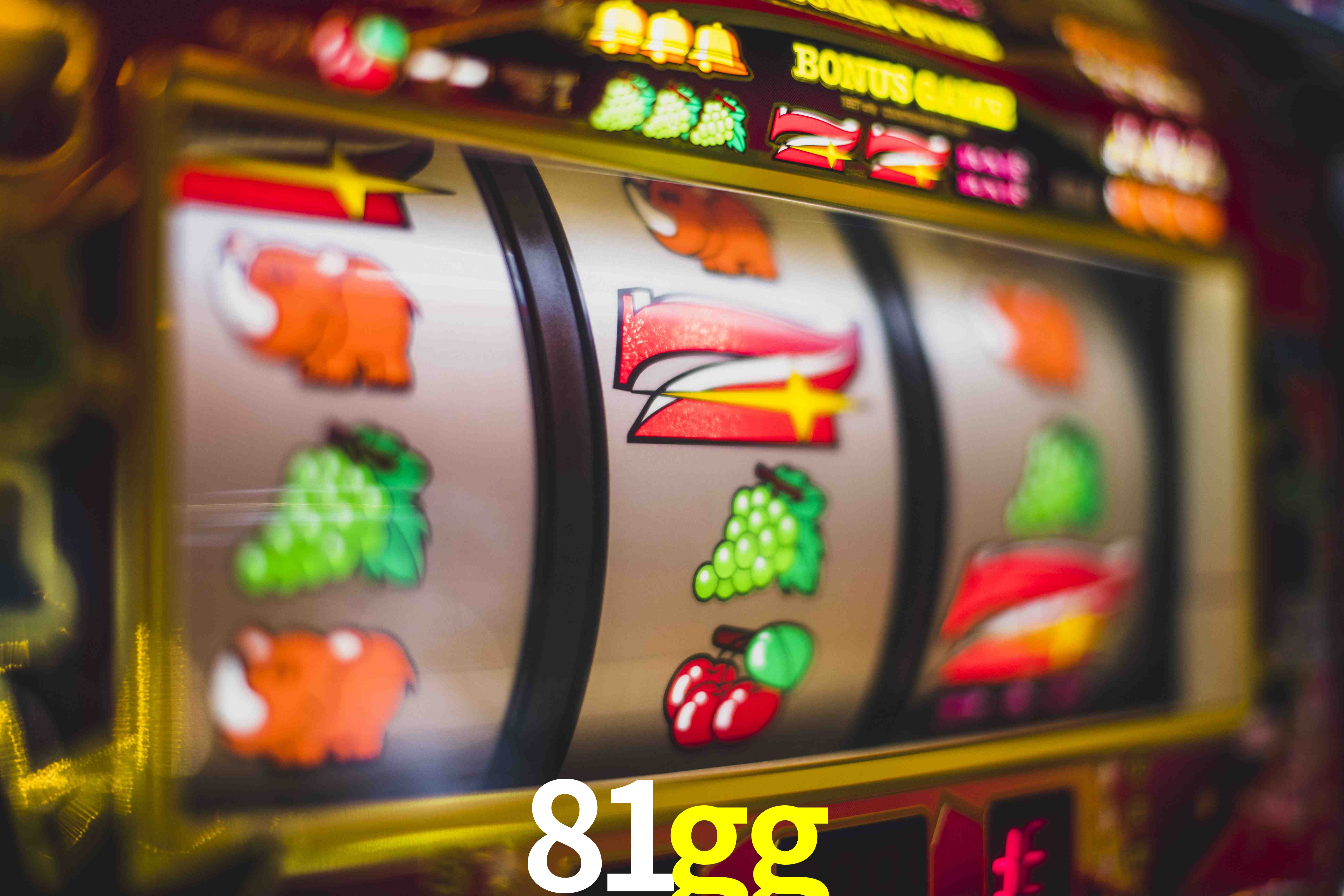 Basketball Betting 81gg